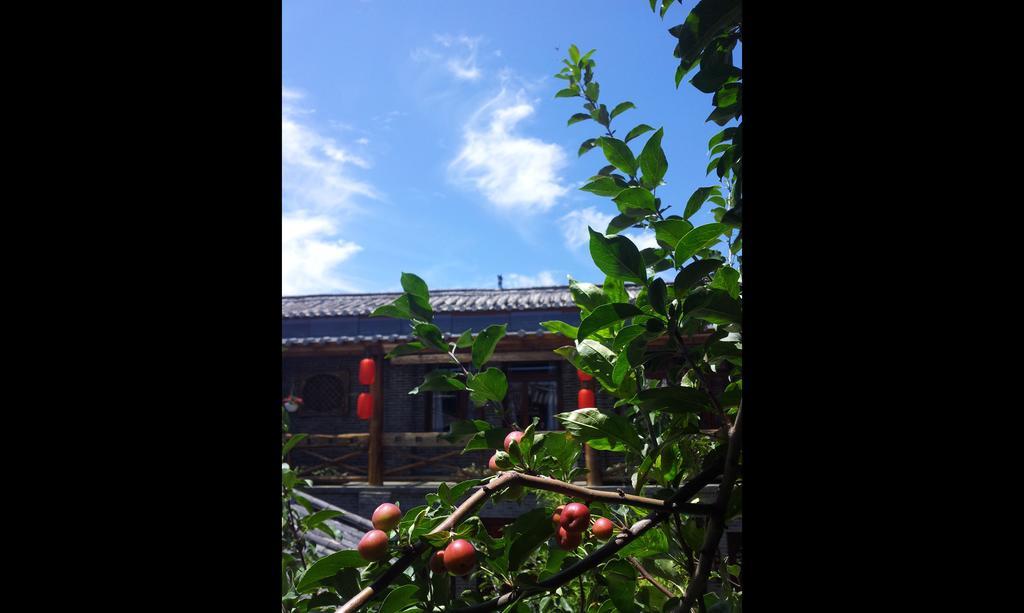 Lazy Tiger Inn Lijiang  Zewnętrze zdjęcie