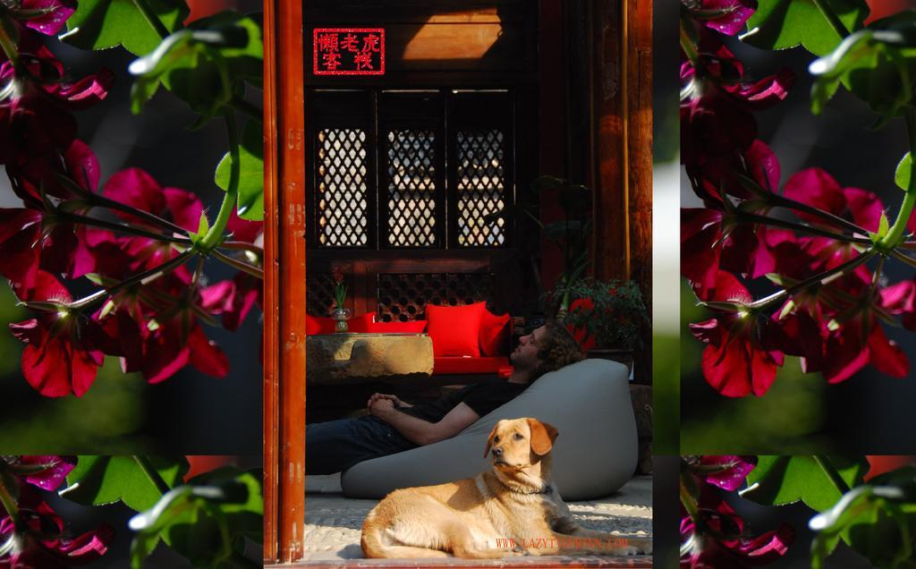 Lazy Tiger Inn Lijiang  Zewnętrze zdjęcie