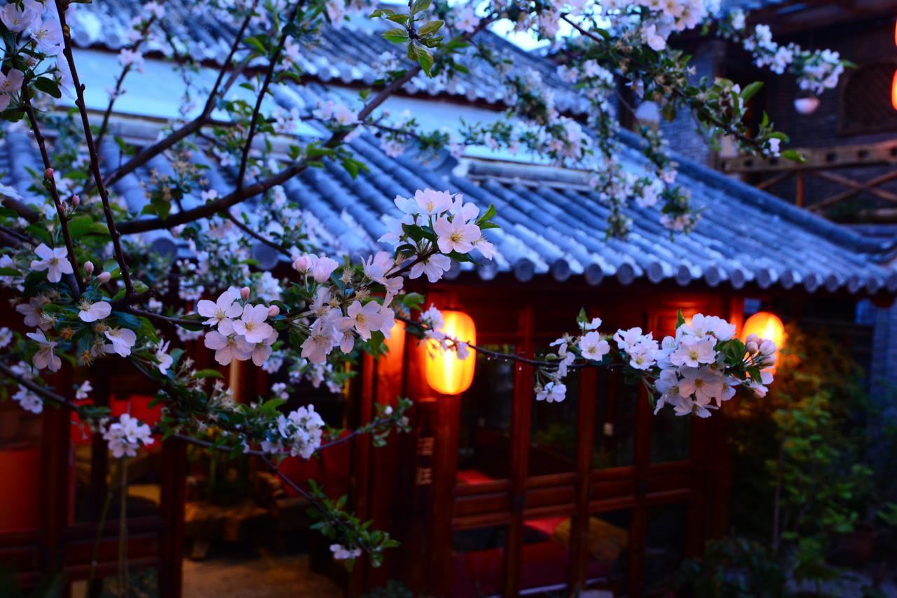 Lazy Tiger Inn Lijiang  Zewnętrze zdjęcie